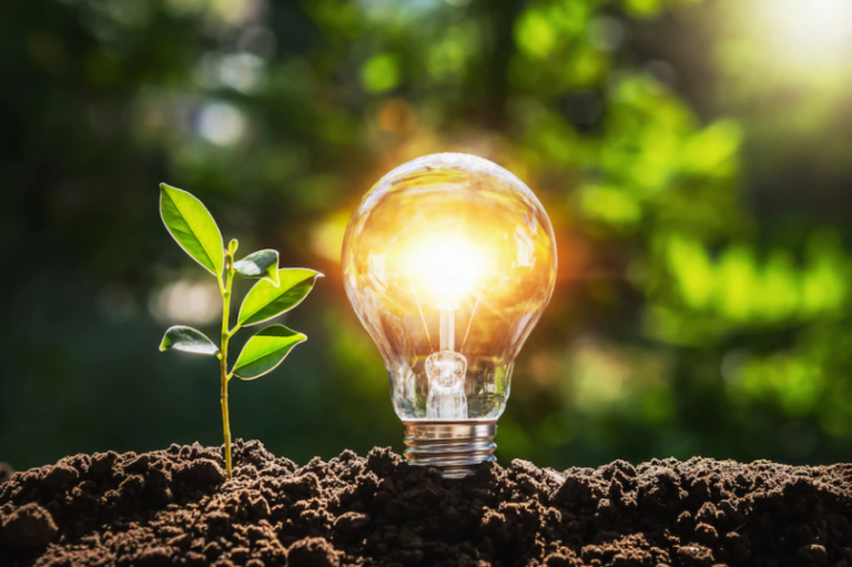 Mês da Conscientização sobre as Mudanças Climáticas